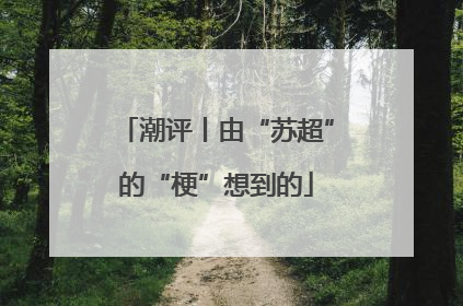 潮评丨由“苏超”的“梗”想到的