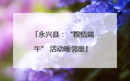 永兴县：“粽情端午” 活动暖邻里