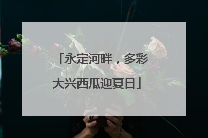永定河畔，多彩大兴西瓜迎夏日