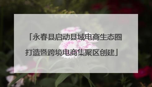 永春县启动县域电商生态圈打造暨跨境电商集聚区创建