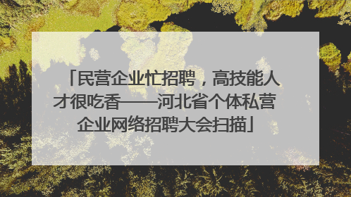 民营企业忙招聘，高技能人才很吃香——河北省个体私营企业网络招聘大会扫描