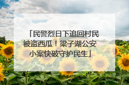 民警烈日下追回村民被盗西瓜！梁子湖公安小案快破守护民生