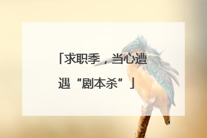 求职季，当心遭遇“剧本杀”