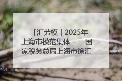 汇劳模｜2025年上海市模范集体——国家税务总局上海市徐汇区税务局第一税务所
