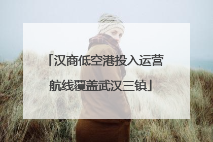 汉商低空港投入运营 航线覆盖武汉三镇