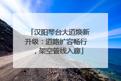 汉阳琴台大道焕新升级：道路扩容畅行，架空管线入廊