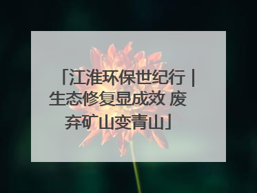 江淮环保世纪行｜生态修复显成效 废弃矿山变青山