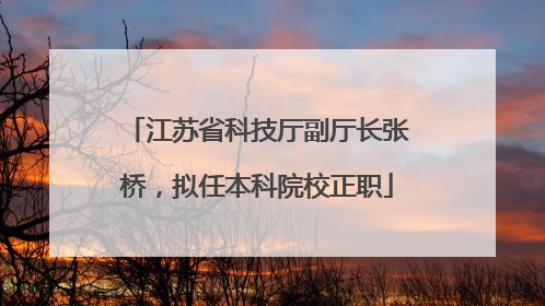 江苏省科技厅副厅长张桥，拟任本科院校正职