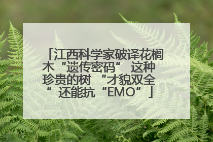 江西科学家破译花榈木“遗传密码” 这种珍贵的树 “才貌双全”还能抗“EMO”