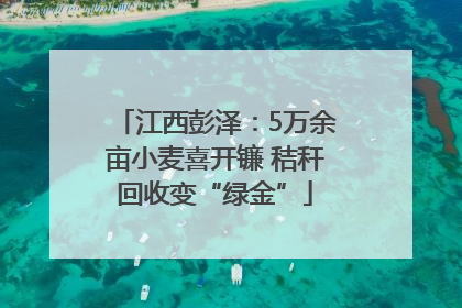 江西彭泽：5万余亩小麦喜开镰 秸秆回收变“绿金”