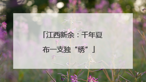 江西新余：千年夏布一支独“绣”