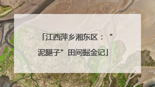 江西萍乡湘东区：“泥腿子”田间掘金记