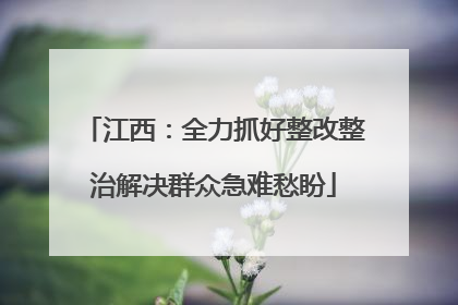 江西：全力抓好整改整治解决群众急难愁盼