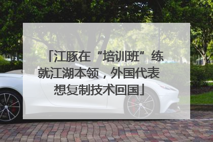 江豚在“培训班”练就江湖本领，外国代表想复制技术回国