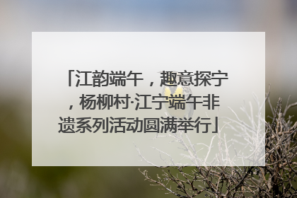 江韵端午，趣意探宁，杨柳村·江宁端午非遗系列活动圆满举行