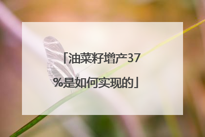 油菜籽增产37%是如何实现的