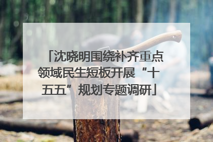 沈晓明围绕补齐重点领域民生短板开展“十五五”规划专题调研
