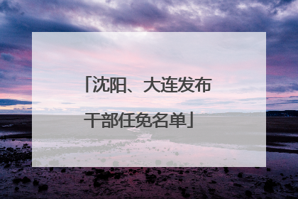 沈阳、大连发布干部任免名单