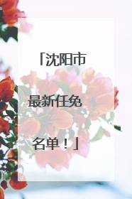 沈阳市最新任免名单！