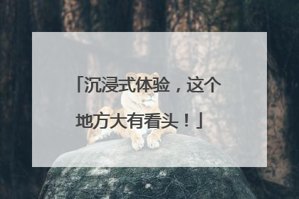 沉浸式体验，这个地方大有看头！