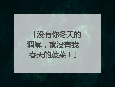 没有你冬天的调解，就没有我春天的菠菜！