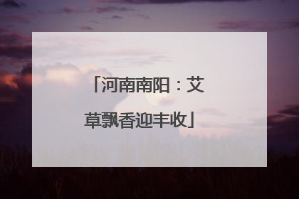河南南阳：艾草飘香迎丰收