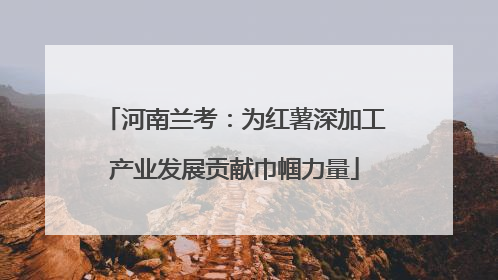 河南兰考：为红薯深加工产业发展贡献巾帼力量