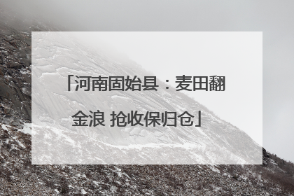 河南固始县：麦田翻金浪 抢收保归仓