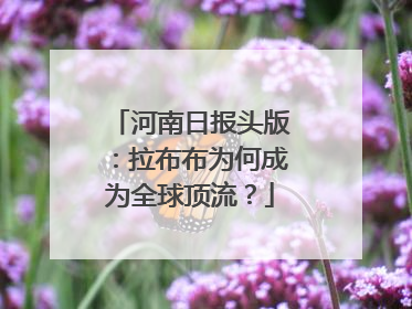 河南日报头版：拉布布为何成为全球顶流？