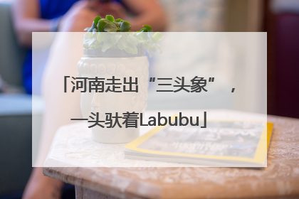 河南走出“三头象”，一头驮着Labubu