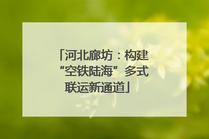 河北廊坊：构建“空铁陆海”多式联运新通道