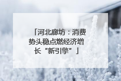 河北廊坊：消费势头稳点燃经济增长“新引擎”