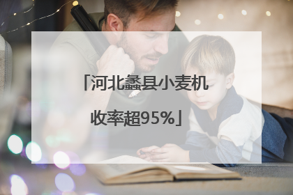 河北蠡县小麦机收率超95%