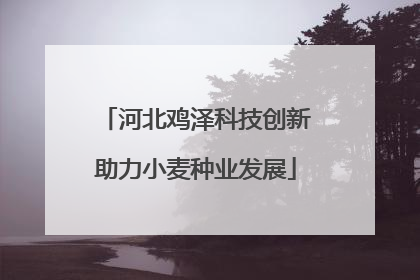 河北鸡泽科技创新助力小麦种业发展