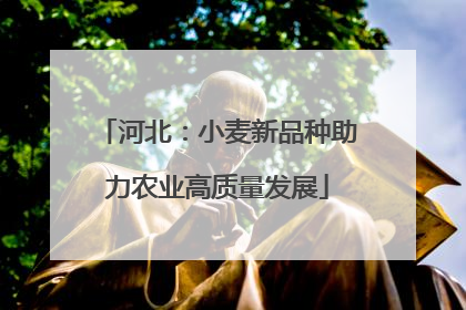 河北：小麦新品种助力农业高质量发展