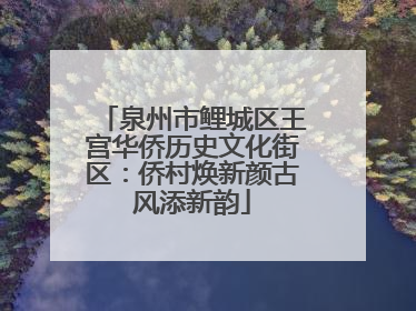 泉州市鲤城区王宫华侨历史文化街区：侨村焕新颜古风添新韵