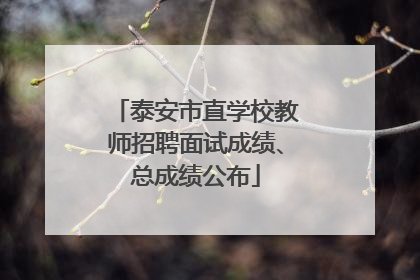 泰安市直学校教师招聘面试成绩、总成绩公布