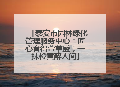 泰安市园林绿化管理服务中心：匠心育得萱草盛，一抹橙黄醉人间