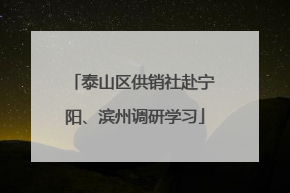 泰山区供销社赴宁阳、滨州调研学习