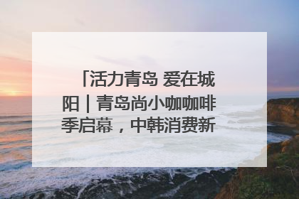 活力青岛 爱在城阳｜青岛尚小咖咖啡季启幕，中韩消费新场景点燃夏日热情