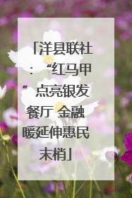 洋县联社：“红马甲”点亮银发餐厅 金融暖延伸惠民末梢