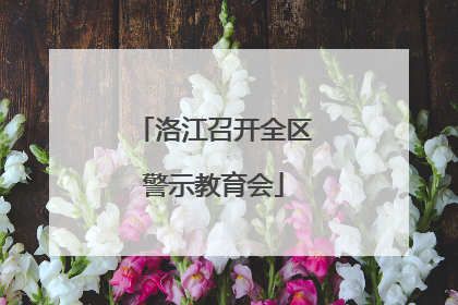 洛江召开全区警示教育会