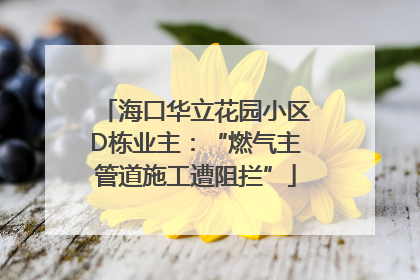 海口华立花园小区D栋业主：“燃气主管道施工遭阻拦”