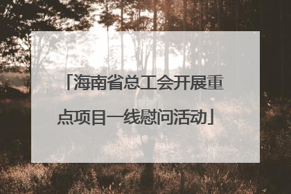 海南省总工会开展重点项目一线慰问活动