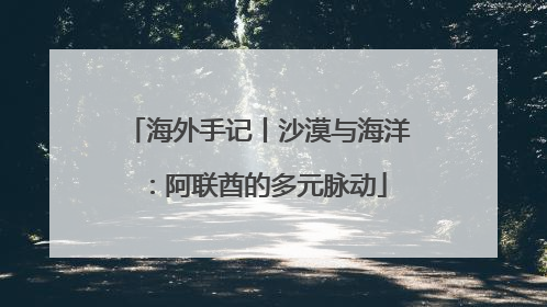 海外手记丨沙漠与海洋：阿联酋的多元脉动