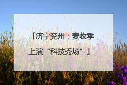济宁兖州：麦收季上演“科技秀场”