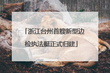 浙江台州首艘新型边检执法艇正式归建