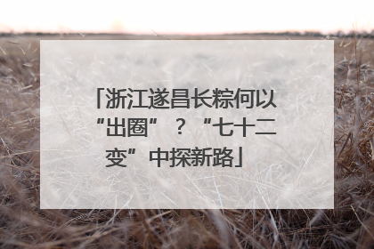 浙江遂昌长粽何以“出圈”？“七十二变”中探新路