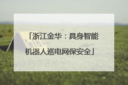 浙江金华：具身智能机器人巡电网保安全