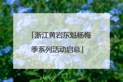 浙江黄岩东魁杨梅季系列活动启幕